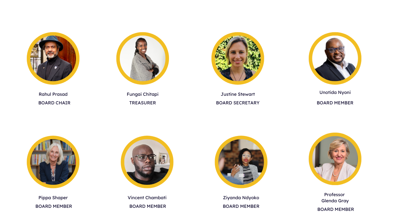 Amandla Development - Board Members